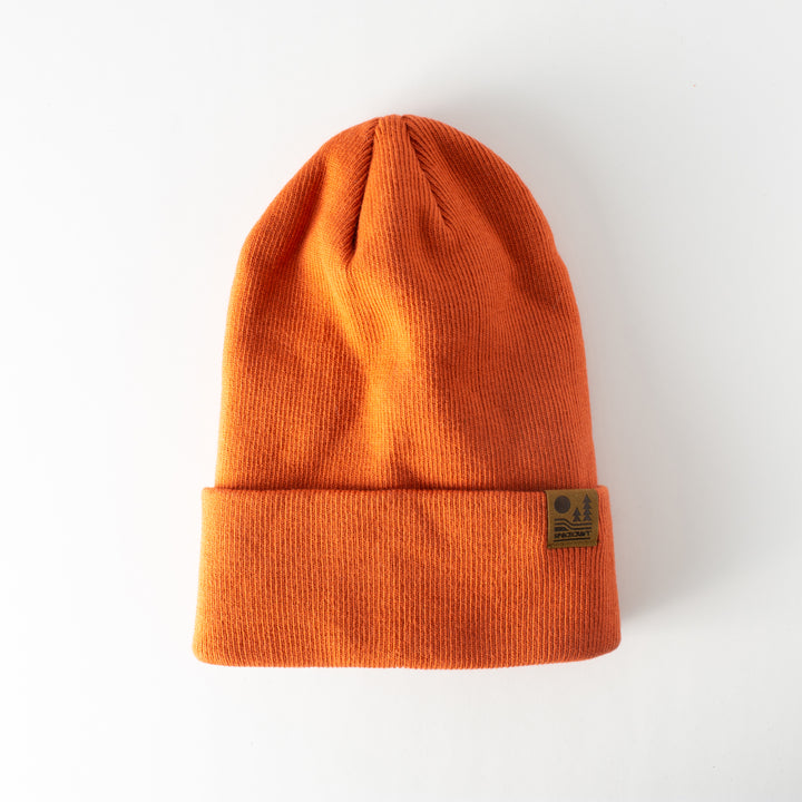 Spacecraft Otis Beanie 2024