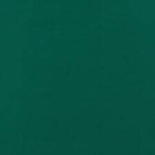 BaseNZ Mens Summer Mountain Heavy T-Shirt Pine Tree / Snow S