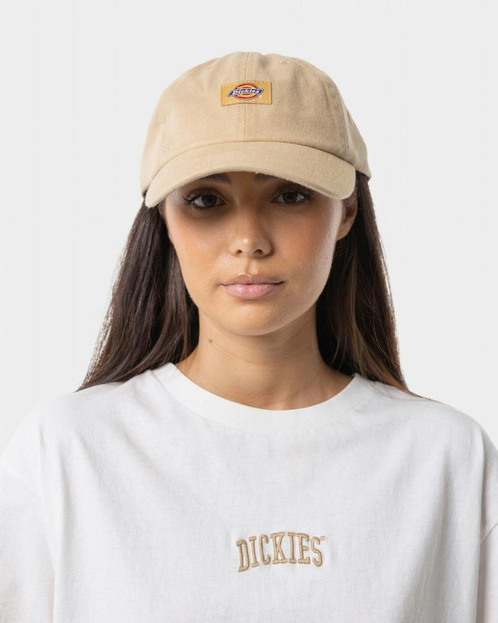 Dickies Classic Logo Hat