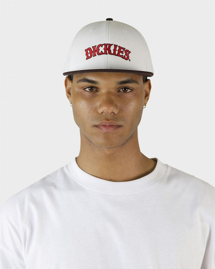 Dickies Old Saloon 6 Panel Snapback Cap Bone