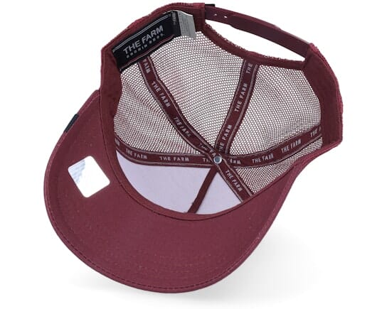 Goorin Bros Handsome Truckin Cap