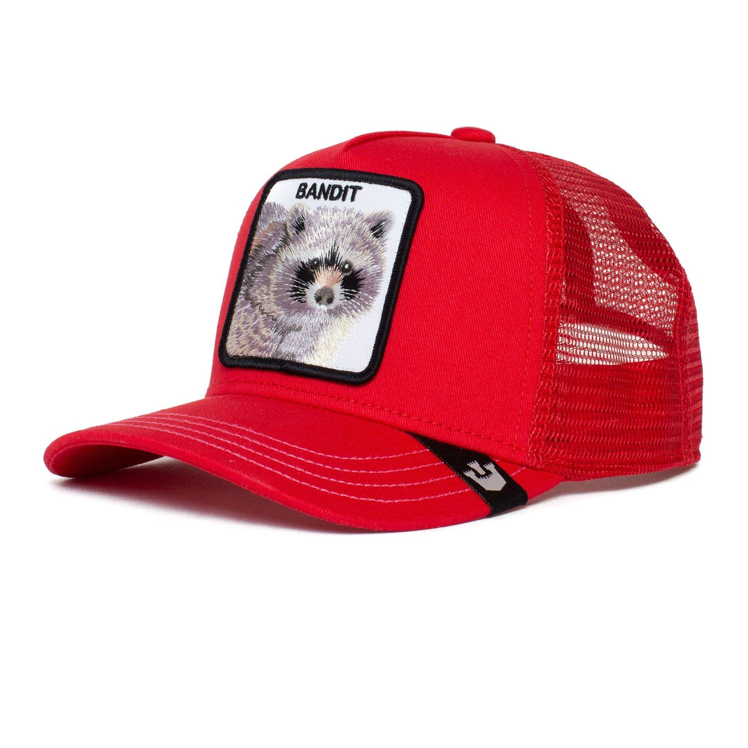 Goorin Bros Sticky Bandit Youth Cap