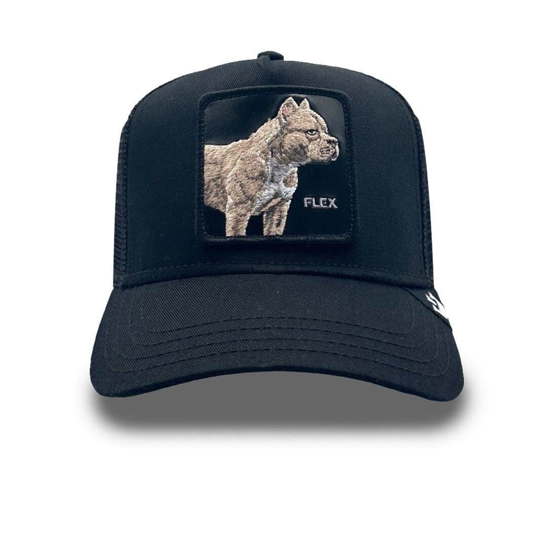 Goorin Bros The Pitbull Cap