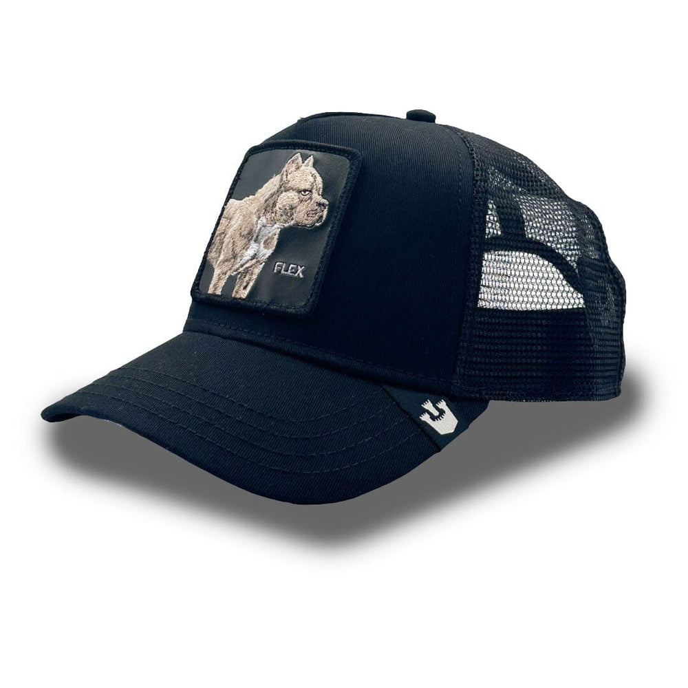 Goorin Bros The Pitbull Cap