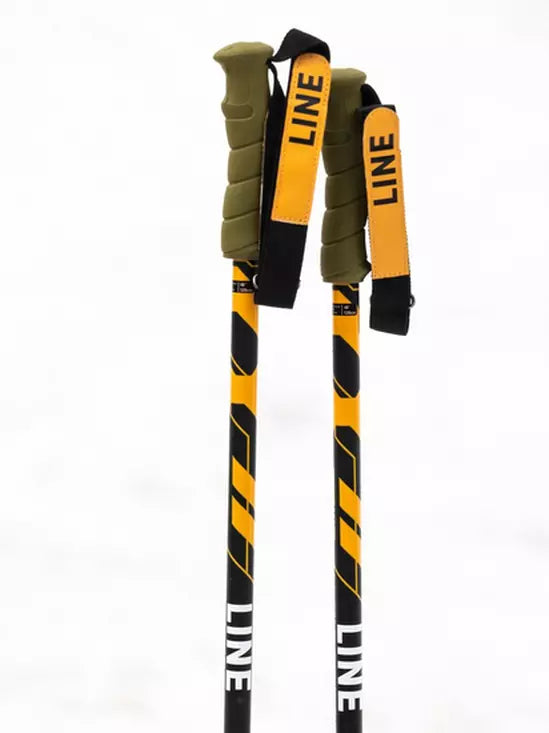 Line Grip Stick Ski Poles