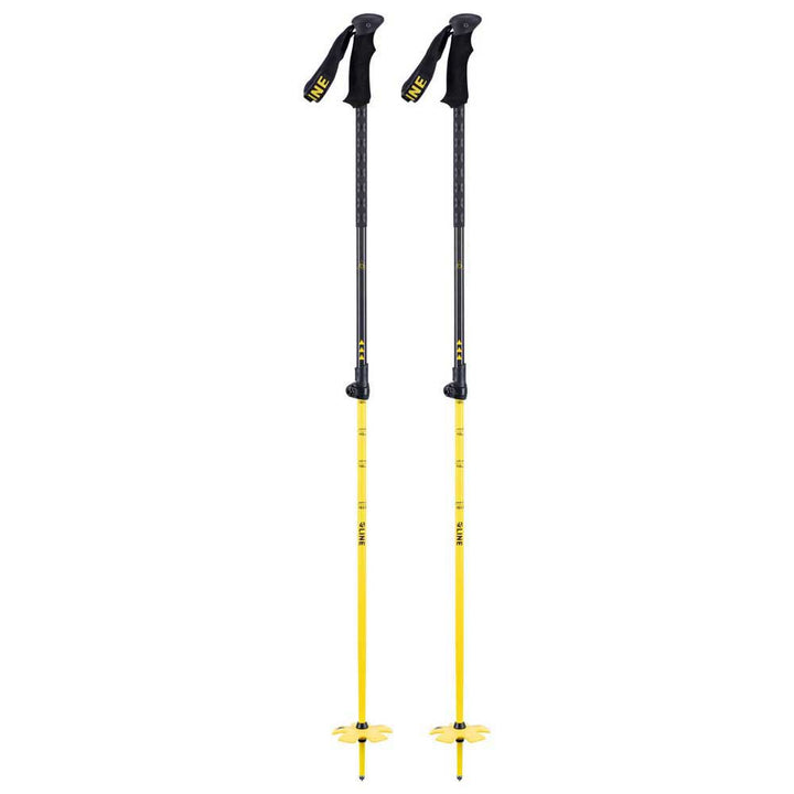 Line Vision Ski Poles