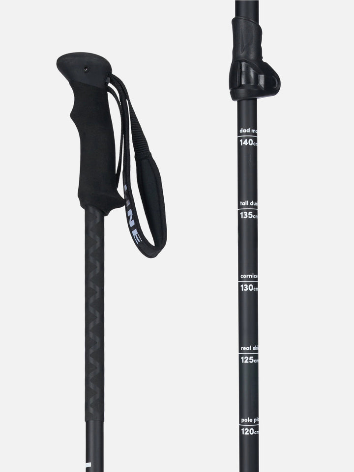 Line Vision Ski Poles