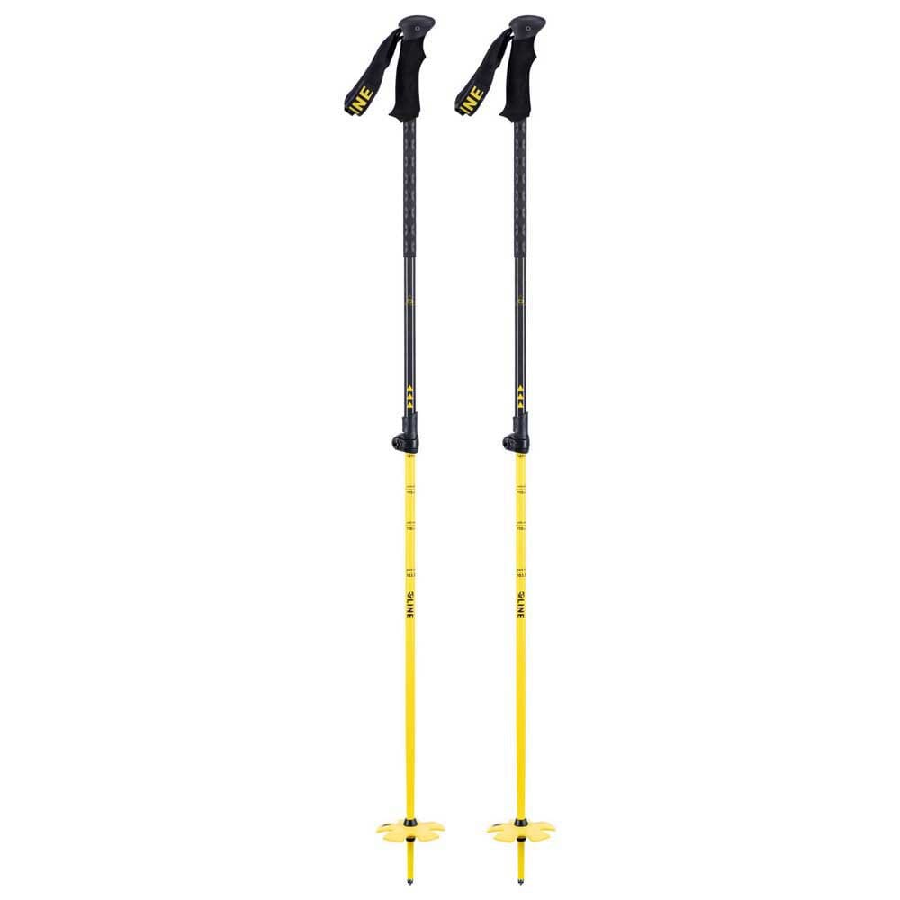 Line Vision Ski Poles
