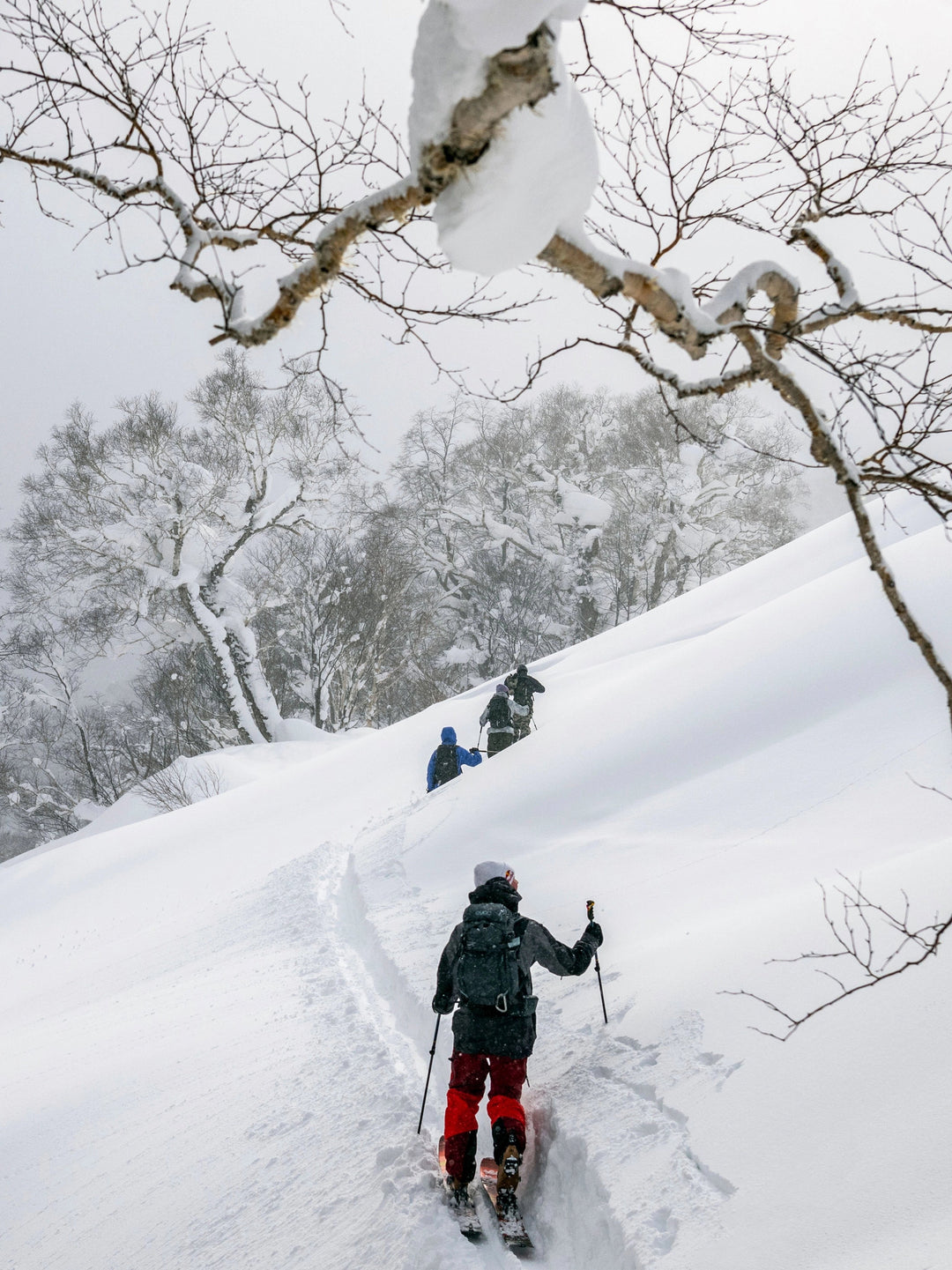 Marker Duke PT 13 Ski Touring Bindings