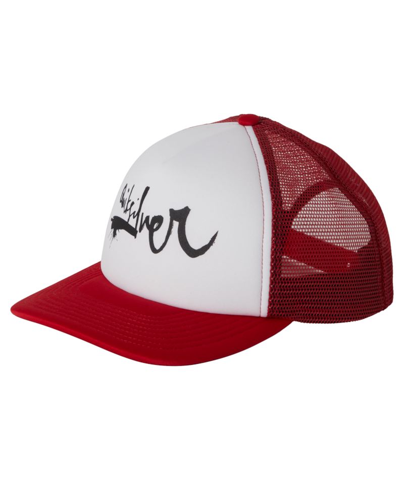 Quiksilver DNA Impaired Cap