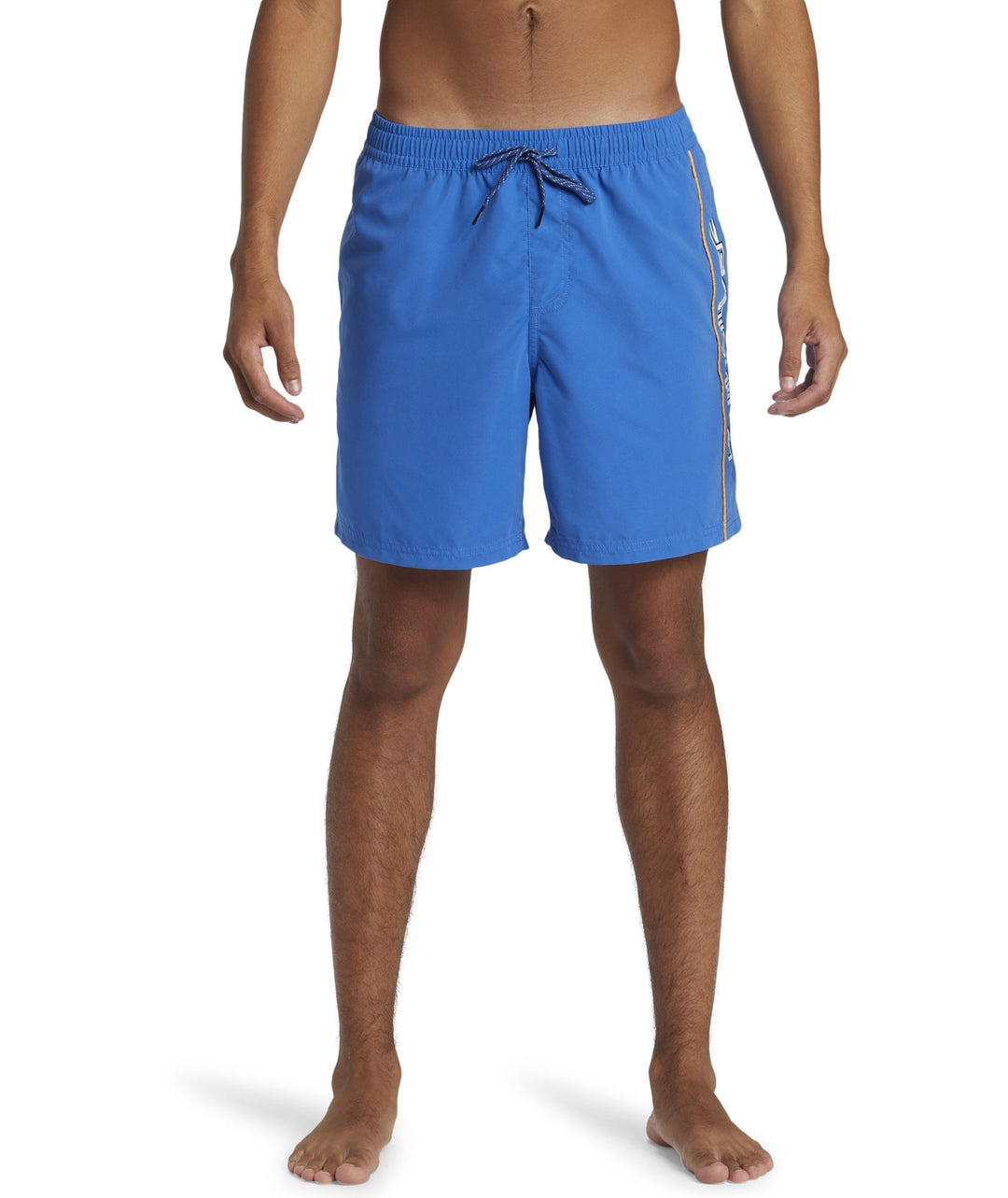 Quiksilver Everyday Vert Volley 17" Boardies