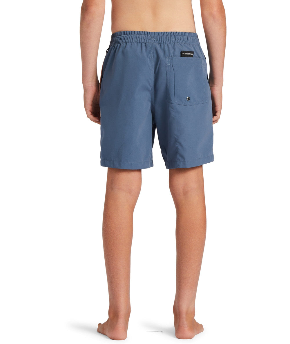 Quiksilver Everyday Vert Volley Youth 15" Boardshorts