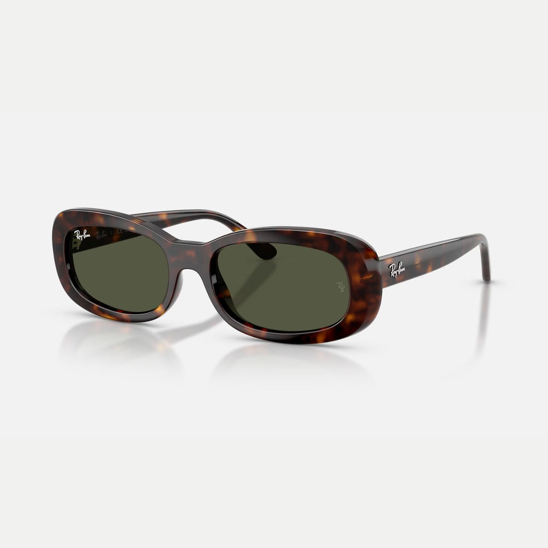 Ray-Ban 0RB2221 Sunglasses