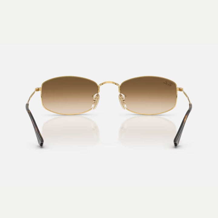 Ray-Ban 0RB3832 Sunglasses