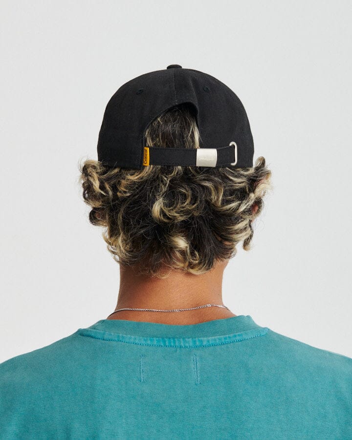The Critical Slide Society Institute Twill Cap