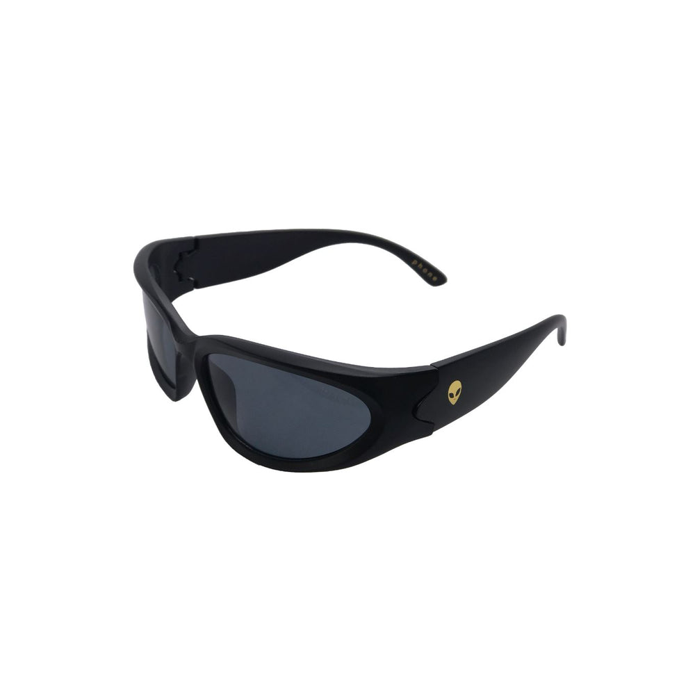 Fortune Visitor Sunglasses