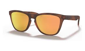 Oakley Frogskins Polarised Sunglasses