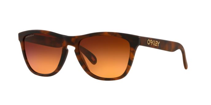 Oakley Frogskins Sunglasses