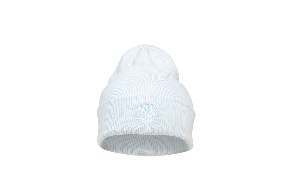 Spacecraft Arboreal Beanie Dusty Blue