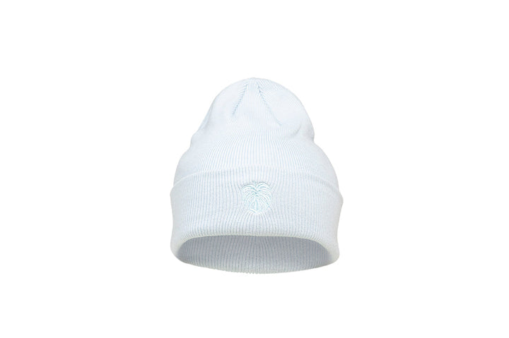 Spacecraft Arboreal Beanie Dusty Blue