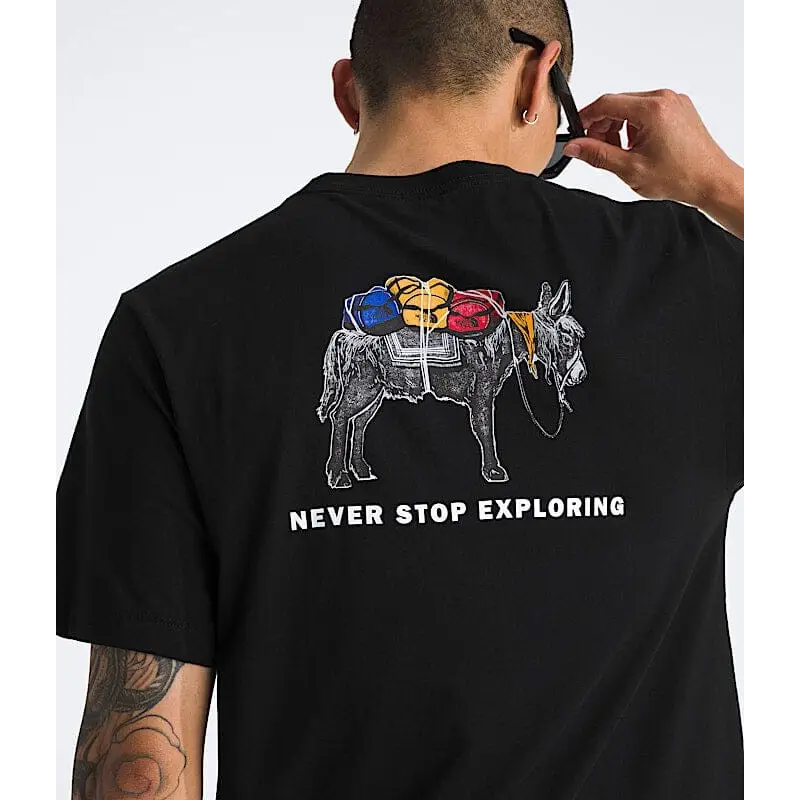 The North Face Evolution Pack Graphic T-Shirt 