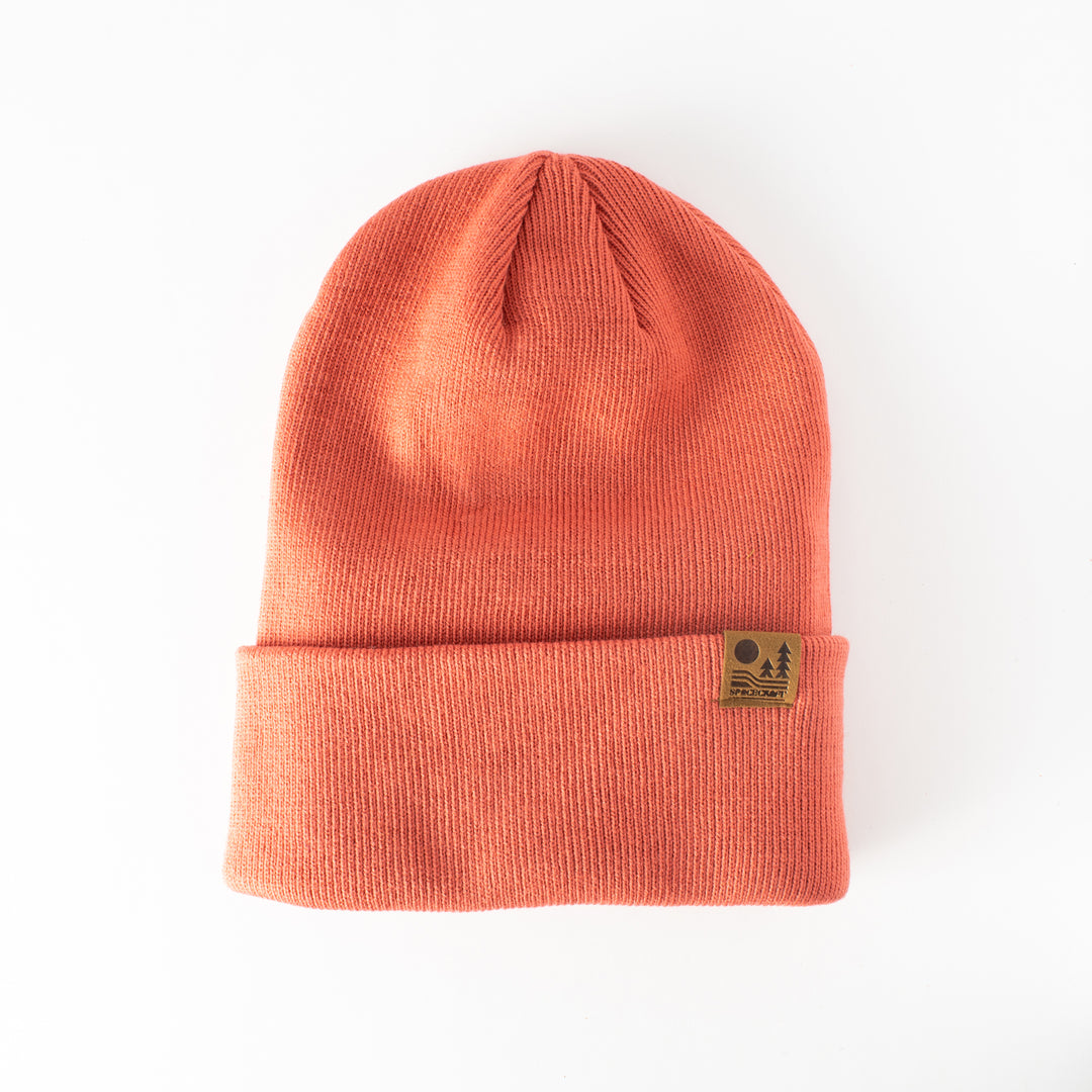 Spacecraft Otis Beanie 2024