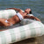 Sunnylife Luxe Twin Hammock Float