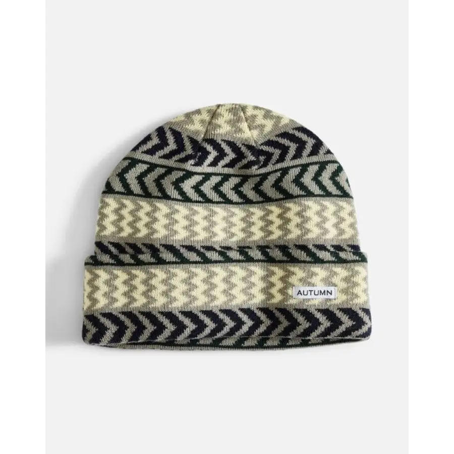 Autumn Chevron Beanie 