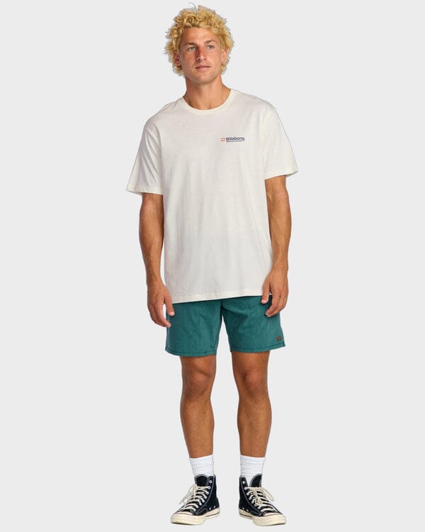 Billabong Abandon Adiv T-Shirt 