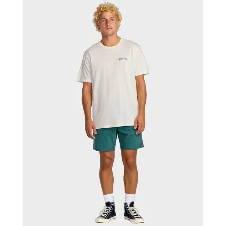 Billabong Abandon Adiv T-Shirt 