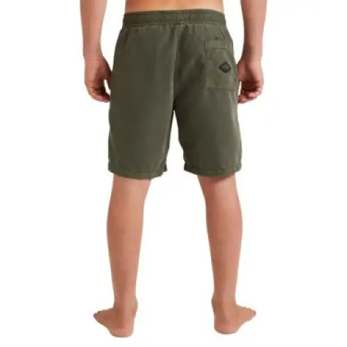 Billabong All Day Overdyed Layback 