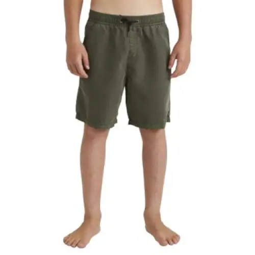 Billabong All Day Overdyed Layback 