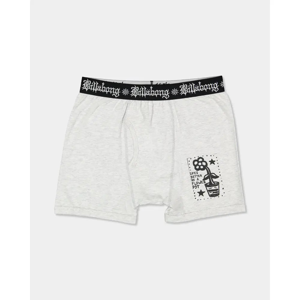 Billabong Creed Flower Pot 3 Pack Briefs