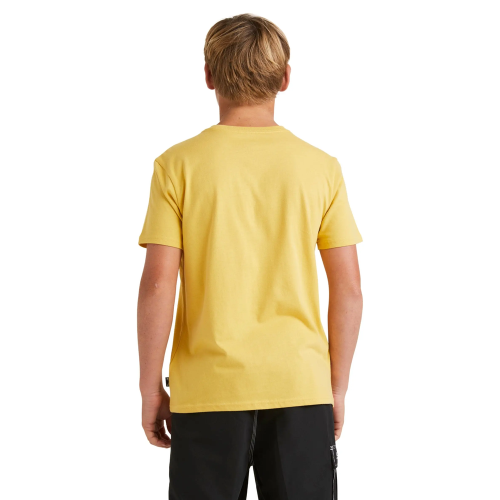 Billabong Dagger Youth T-Shirt 