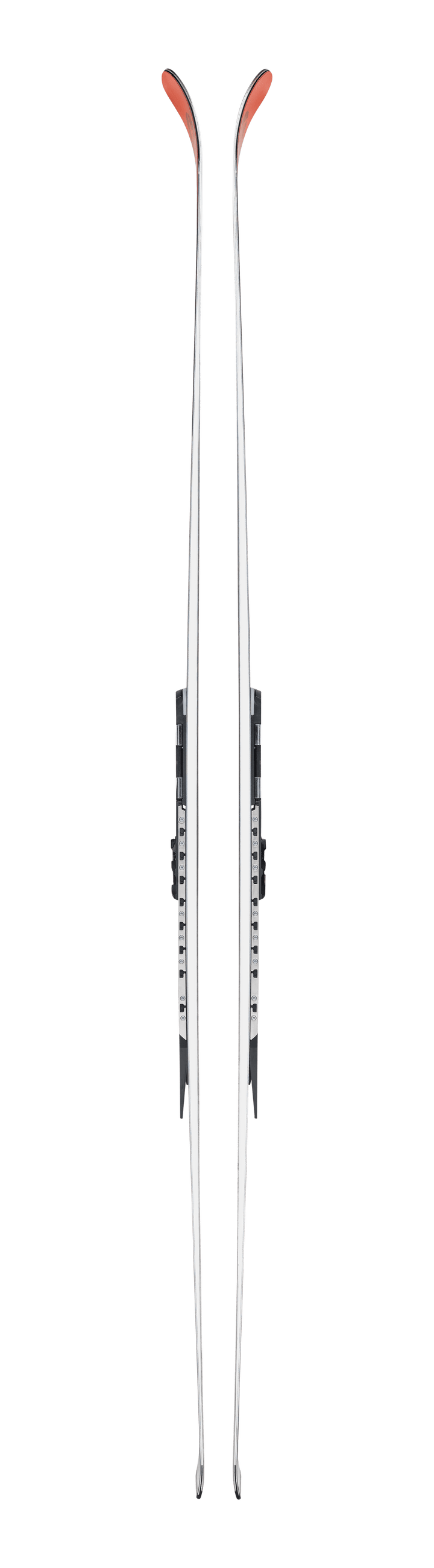 Blizzard Ski Firebird Gs Fis Plate 2026 