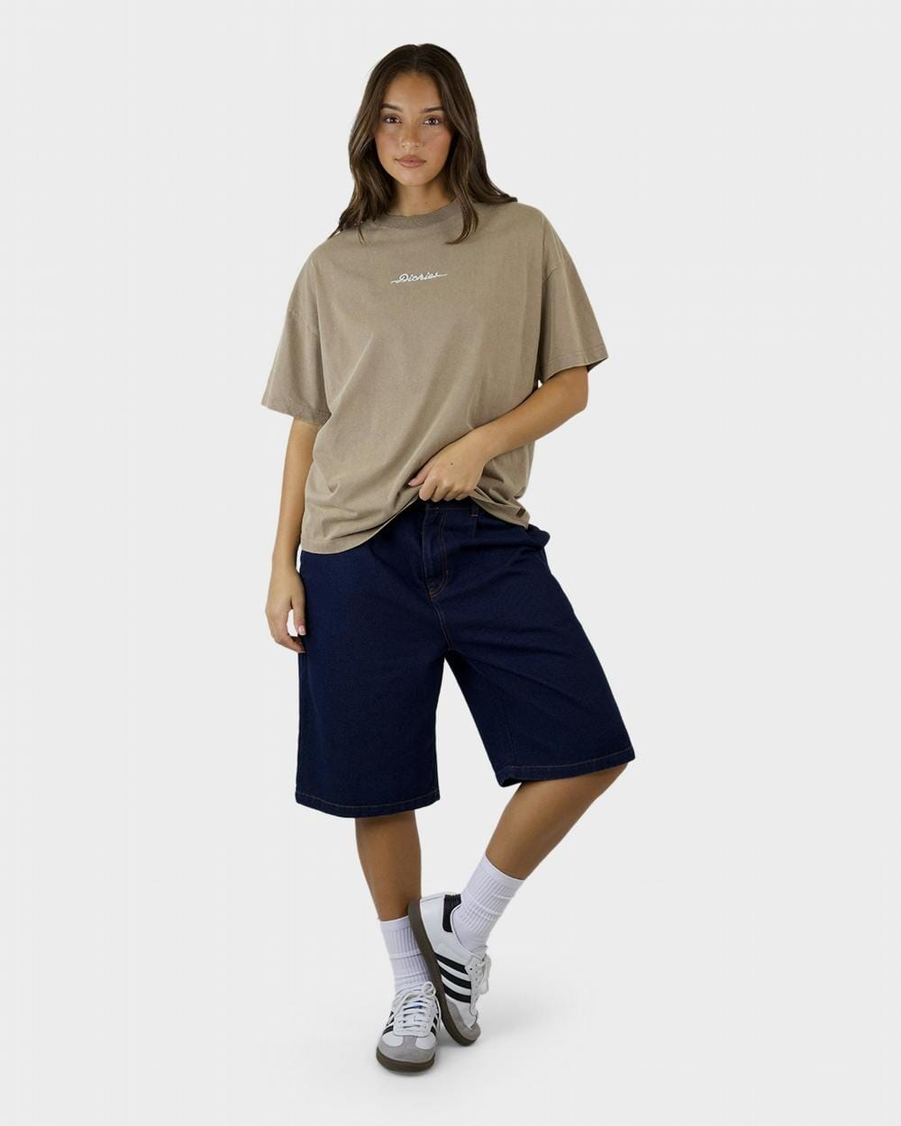 Dickies 330 Horizon Oversized T-Shirt 