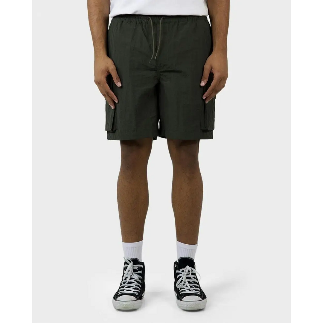 Dickies Barton Springs Boardshorts 