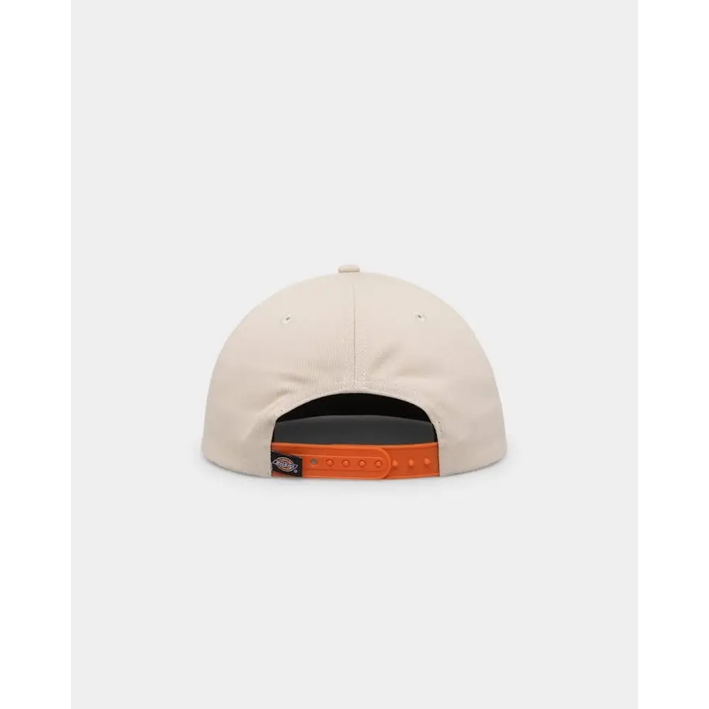 Dickies Classic Label Panelled Cap 