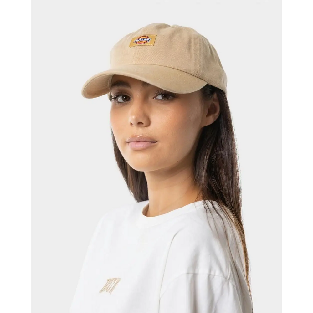 Dickies Classic Logo Hat 