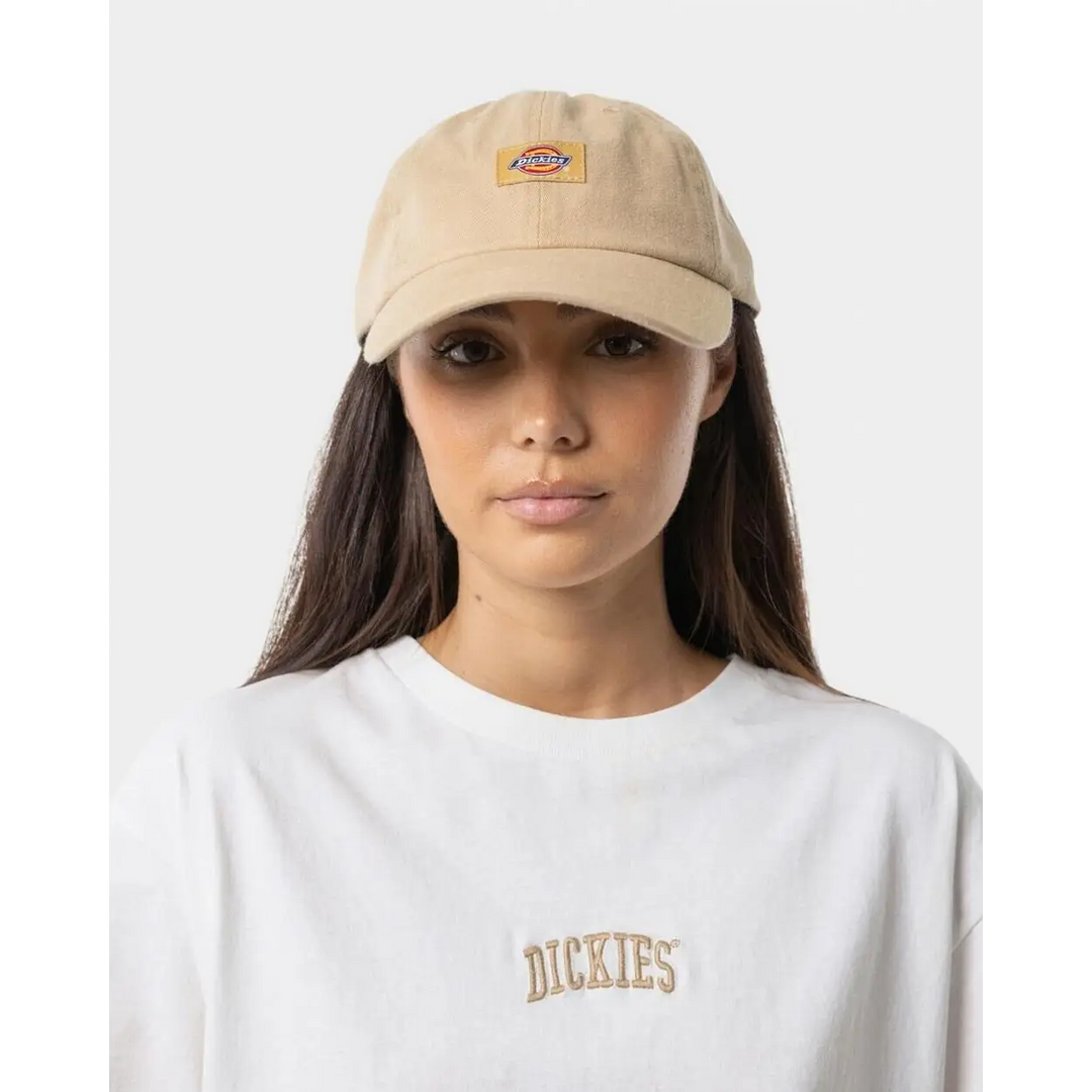 Dickies Classic Logo Hat 