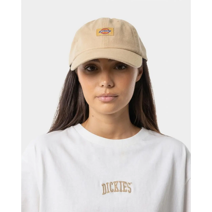 Dickies Classic Logo Hat 