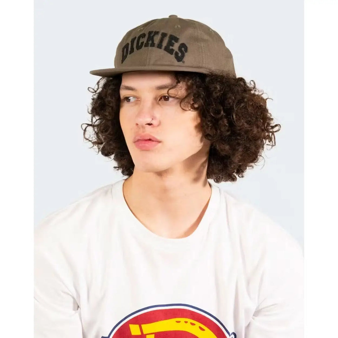 Dickies Princeton 6 Panel Cap 