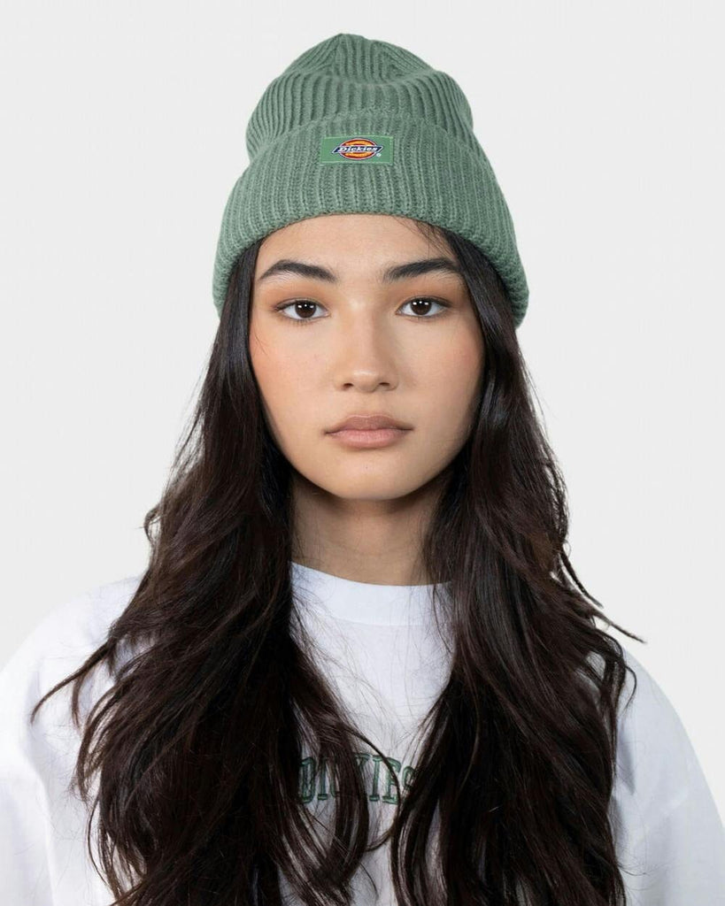 Dickies Women's Classic Label Beanie 