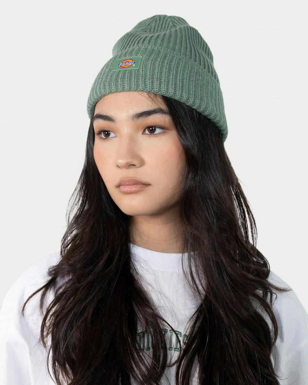 Dickies Women's Classic Label Beanie 