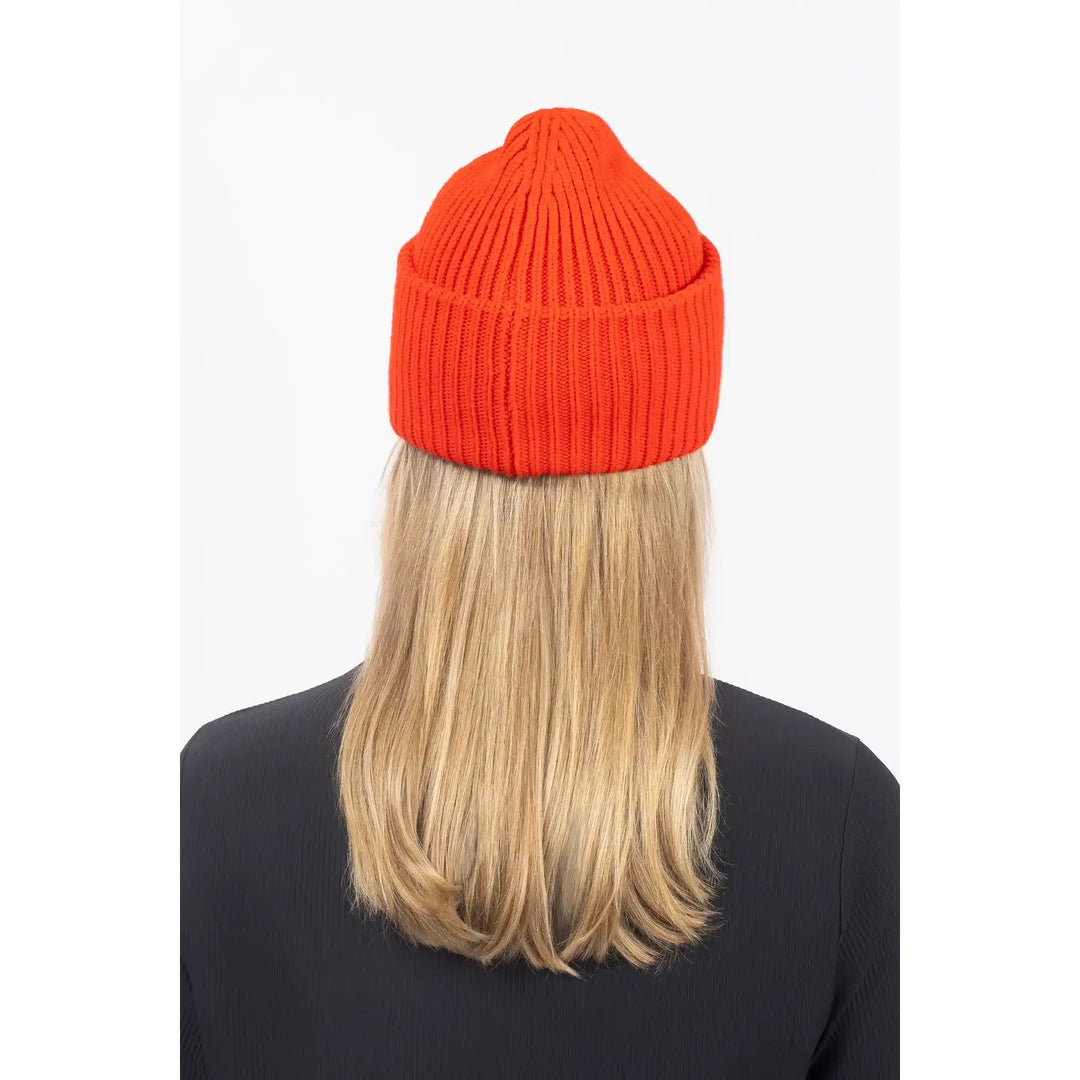 Eivy Tonal Beanie
