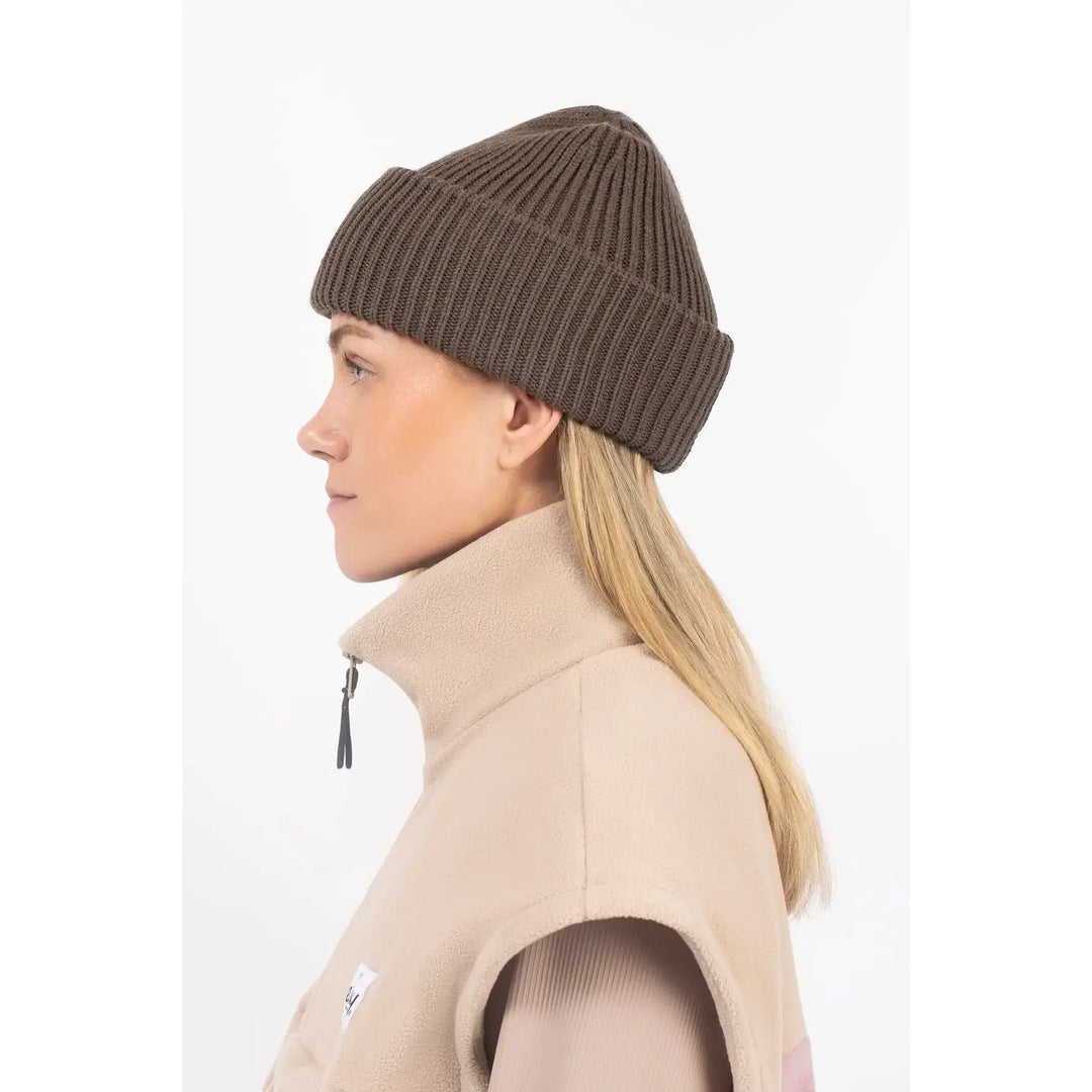 Eivy Tonal Beanie