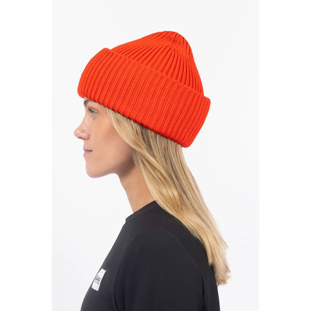 Eivy Tonal Beanie