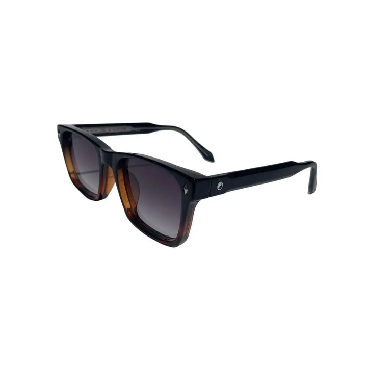 Fortune Commodo Sunglassses - Black/Tort