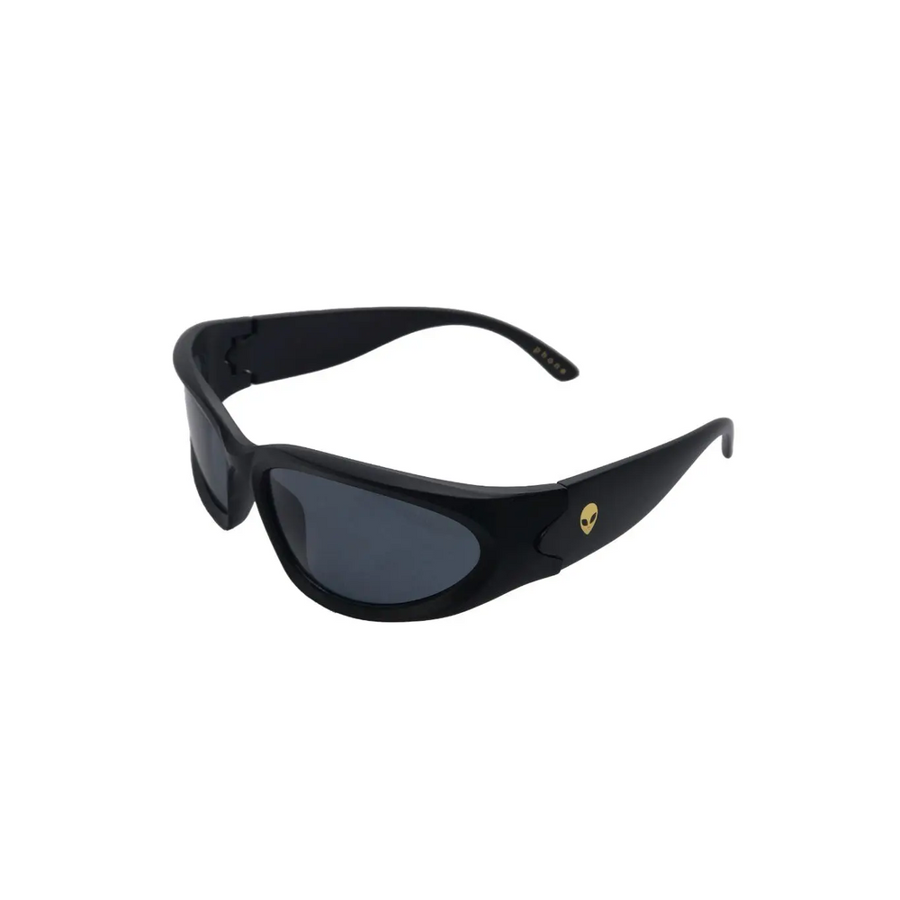 Fortune Visitor Sunglasses 