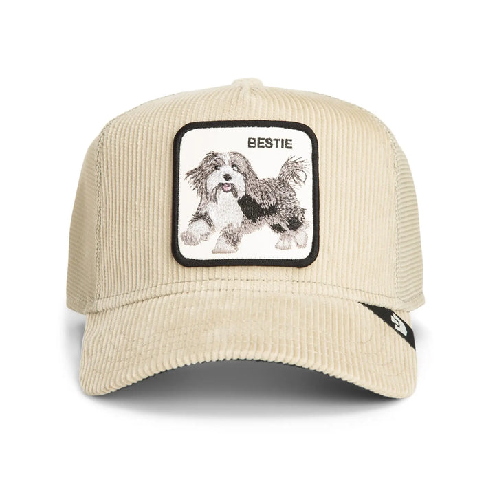 Goorin Bros Dapper Bestie Corduroy Cap - Scout